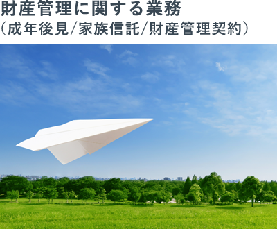 財産管理に関する業務(成年後見/家族信託/財産管理契約)